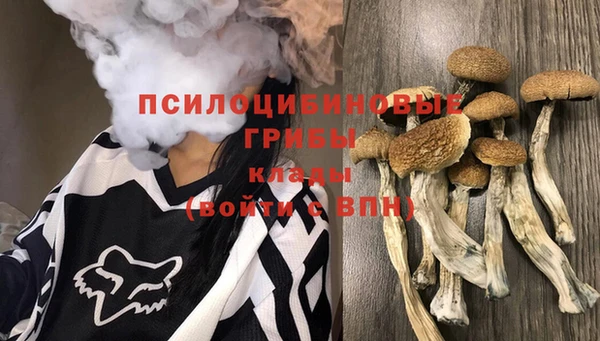 винт Алексеевка