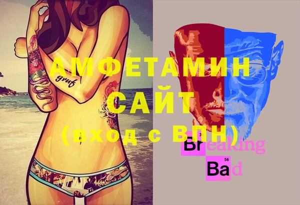 мет Алексин