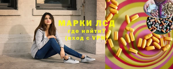 мет Алексин